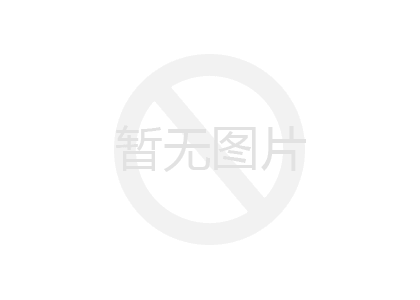 方形冲孔网（Lisa）